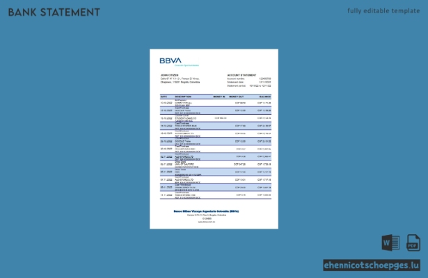 Beispiel-Excel-Vorschau eines Kontoauszugs der kolumbianischen BBVA-Bank (BBVA)